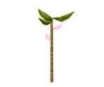 Magic Plant