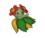 Bellossom Trophy