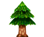 Cedar Tree