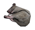 Rat (Dead)
