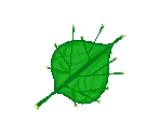 Deku Leaf (Inventory)