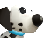 Dalmation