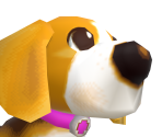 Beagle