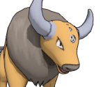 #128 Tauros