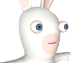 Rabbid