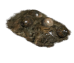 Brahminegg Pile