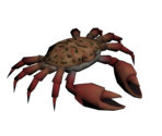 Crab