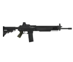 SIG 556