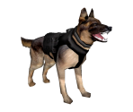 German Shepherd Guide