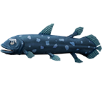 Coelacanth