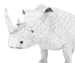 Jumanji Rhino