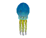 Jellyfish