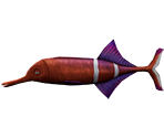 Elephant-Nose Fish