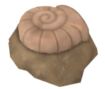 Helix Fossil