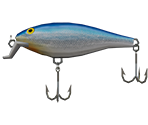 Shallow Shad Rap - Blue