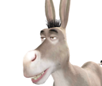 Donkey