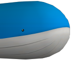 321 - Wailord