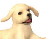 Nintendogs