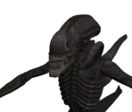 Xenomorph