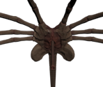 Facehugger