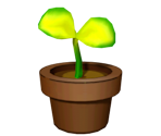 Flower Pot