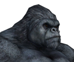 Gorilla