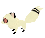 Kirara (Kitten)