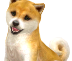 Shiba Inu Trophy