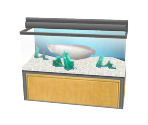 Arowana Aquarium