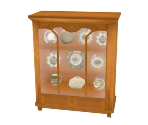 Display Case