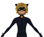 Cat Noir