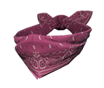 Paisley Bandana