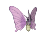 #049 Venomoth