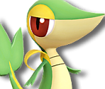 Snivy