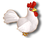 Cucco