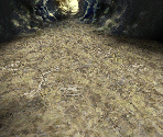 Cave (Exit)