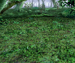 Forest (Mist)