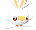 #813 Scorbunny