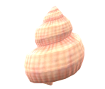 Seashell