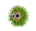 Pestnut