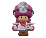 Dr. Toadette