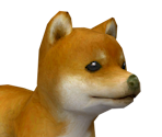 Shiba Inu