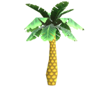 Palm Tree