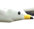 Seagull