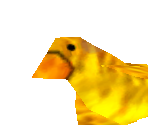 Golden Birds (Stunned)