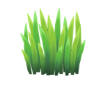 Grass