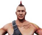 Punk (Arctic Pro)