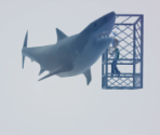 Shark Cage