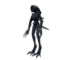 Xenomorph