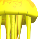 Jellyfish